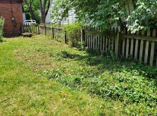 Cleanups by Andrew Garfield for Chrysoula V. in East Lansing, MI
