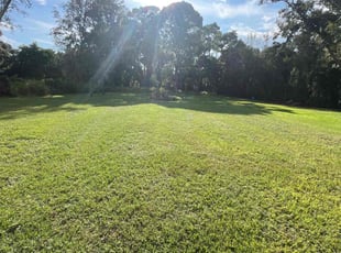 Claude R.'s Grass Cutting service result