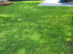 Leaf Removal by Carlos Martinez for Egberto C. in Haines City, FL