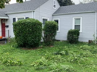 Bush Trimming by Taylor Dodson for Katherine H. in Chesapeake, VA