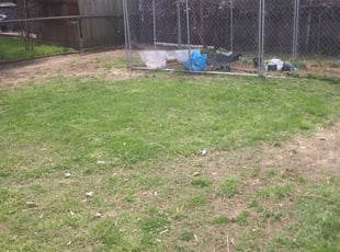Cleanups by Demetrius Curry for Laura M. in Tulsa, OK