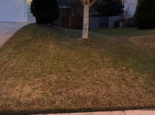 Leaf Removal by Joseph Laster for Darrel J. in Lawrenceville, GA
