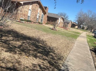 Leaf Removal by Dante Pressley for Joshua H. in Carrollton, TX