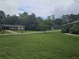 Darin F.'s Lawn Care service result