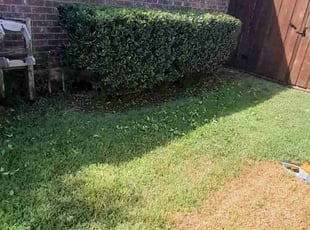 Bush Trimming by Kevin (Jesus) Valencia for Kenneth F. in Denton, TX