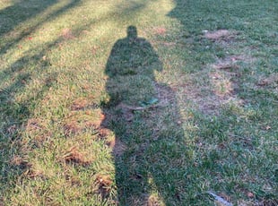 Leaf Removal by John Bell for Paloma L. in Silver Spring, MD