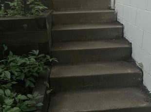 Cleanups by Mario Williams for Nora N. in Minneapolis, MN