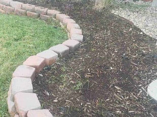 Weeding by Alley Parker for Ashaun D. in Denver, CO