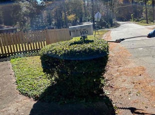 Bush Trimming by Latonya Talley for Allen M. in Decatur, GA