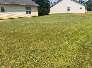 Erin M.'s Bush Trimming service result