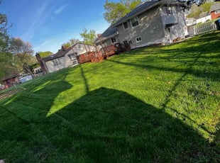 D'Angela H.'s Lawn Mowing Service service result
