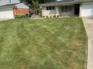 Joyce C.'s Lawn Mowing service result
