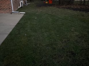 Leaf Removal by Cornelius Eubanks for Donald L. in Northbrook, IL
