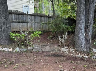 Leaf Removal by Ceasear Collier for Jay r. in McDonough, GA