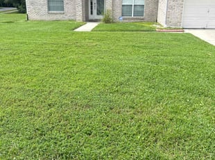 Gaytan G.'s Lawn Care service result