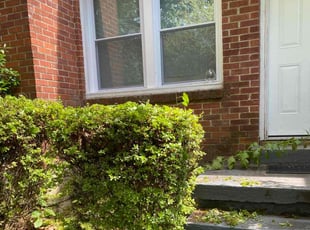 Bush Trimming by Nathaniel Stanley for Omar Z. in Atlanta, GA