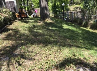 Leaf Removal by Elvis Pintado for Kelsey K. in Pinellas Park, FL