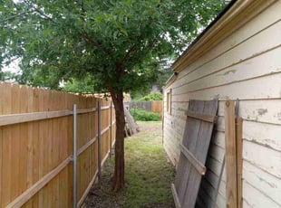 Sue L.'s Bush Trimming service result