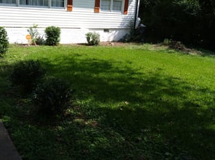 Bush Trimming by Jason Times for Steven D. in Atlanta, GA