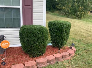 Antoniesha B.'s Bush Trimming service result
