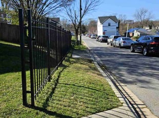 Ricardo B.'s Lawn Care service result