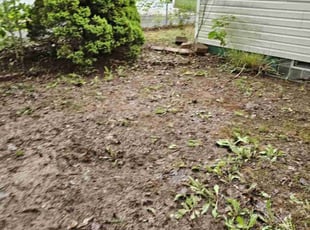 Leaf Removal by Thomas Abney for Eric M. in Akron, OH