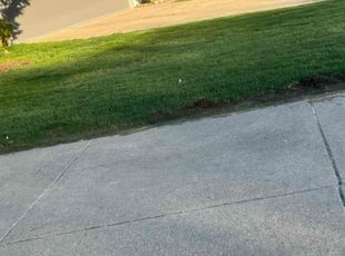 TANYA R.'s Lawn Maintenance service result