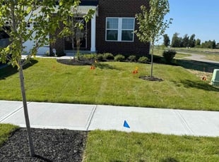 Darnell B.'s Grass Cutting service result