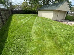 Cleanups by Kyle Yacko for Johnathan S. in Ferndale, MI