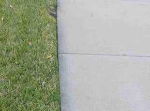 Allison M.'s Lawn Maintenance service result