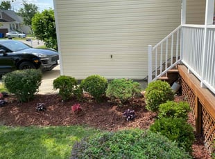 Bush Trimming by Brandon Russell for Deitre S. in Chesapeake, VA