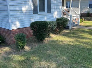 Bush Trimming by Dustin Janes for Shannon H. in Kannapolis, NC