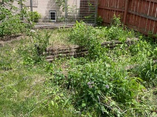 Weeding by Connor Doyle for Jackie F. in Minneapolis, MN