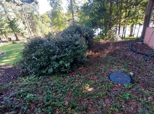 Bush Trimming by Sean Johnson for Heather B. in Greer, SC