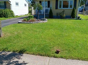 Bush Trimming by Wilton Pinder for mary f. in Tonawanda, NY