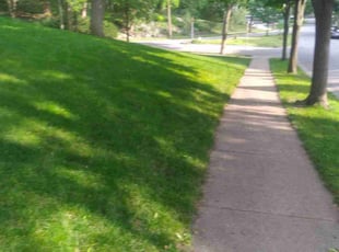 Pat H.'s Lawn Mowing service result