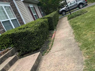 Bush Trimming by Kilo Brooks for Winter F. in Fredericksburg, VA
