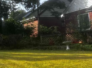 Bush Trimming by James Abernathy for Cheri C. in Cincinnati, OH