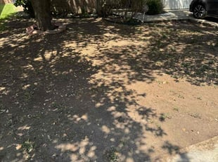 Leaf Removal by Preston McNeely for Colt C. in San Antonio, TX