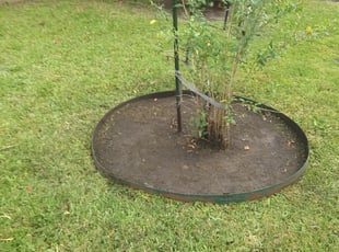 Cleanups by Daniel Campos for Kris K. in Bellaire, TX
