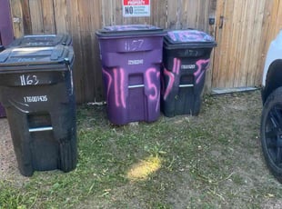 Cleanups by Connor Andrew for Jordan D. in Denver, CO