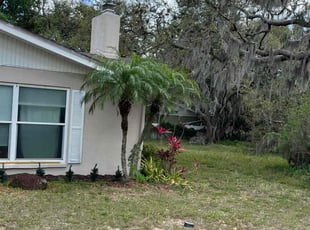 Bush Trimming by Johnny Torres for Betsy W. in Brandon, FL