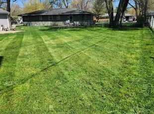 Ebony S.'s Lawn Mowing service result