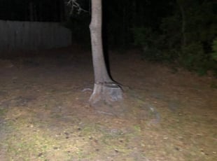 Cleanups by Jacob Yenca for Jacob C. in Summerville, SC