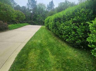 Timothy W.'s Lawn Mowing Service service result