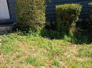 Bush Trimming by Joshua Walker for Tawanda J. in Lithonia, GA