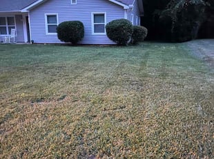 Bush Trimming by Kirk Brawley for Maria D. in Charlotte, NC