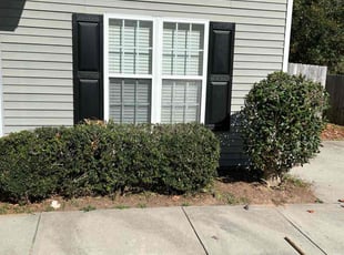 Bush Trimming by William Elliott for Shanecka H. in Raleigh, NC