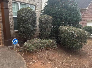 Bush Trimming by Jermaine Huguley for Brittany A. in Atlanta, GA
