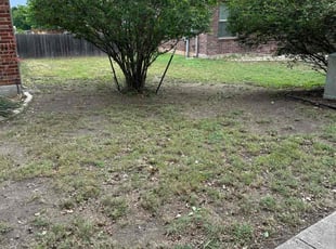 Cleanups by Juan Gaeta for Justina M. in Georgetown, TX